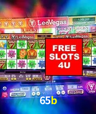 Flash Promotion 65b