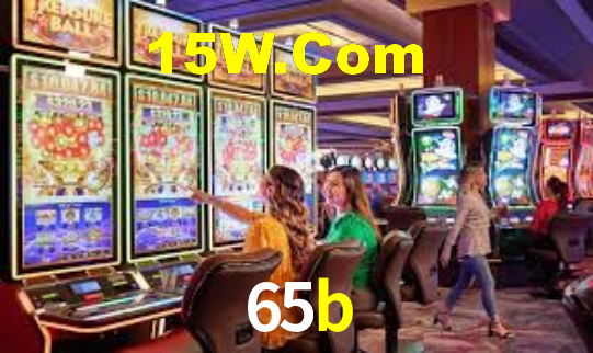 65b App Interface