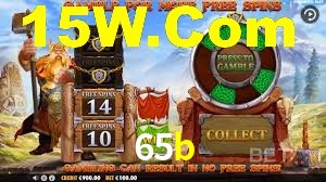 65b App Interface