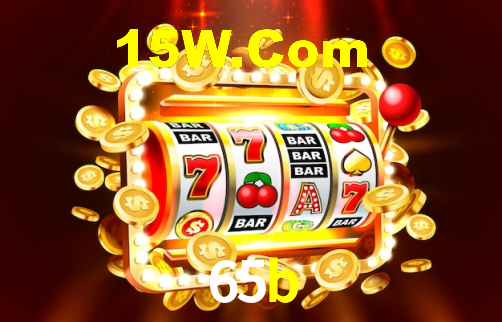 Premium Interface 65b