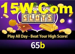 65b,65b.com